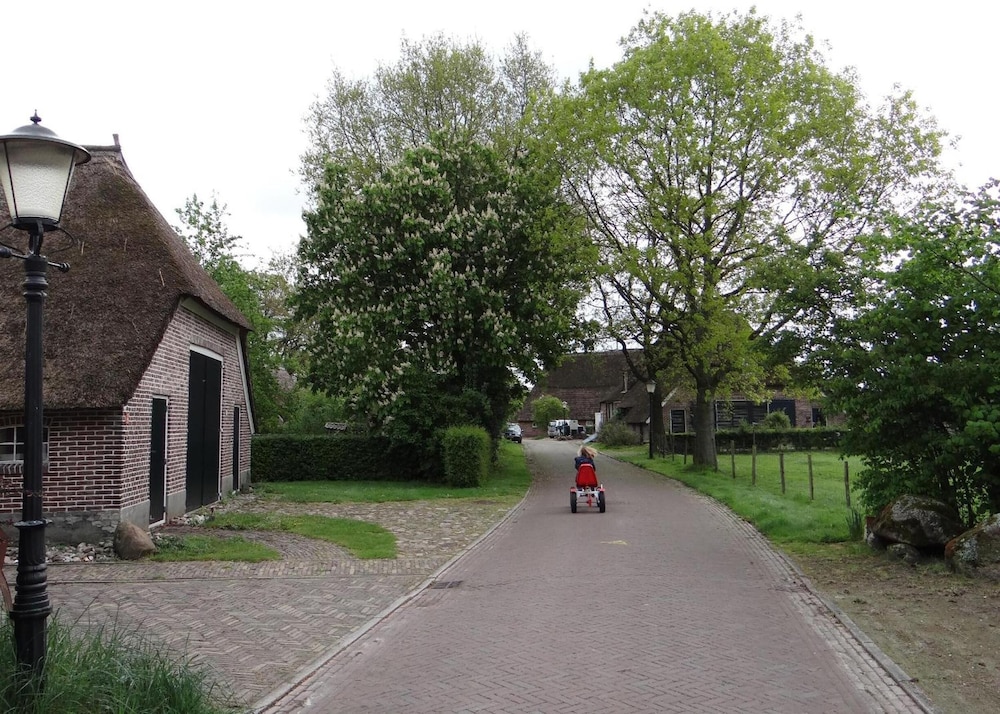 Photo 37