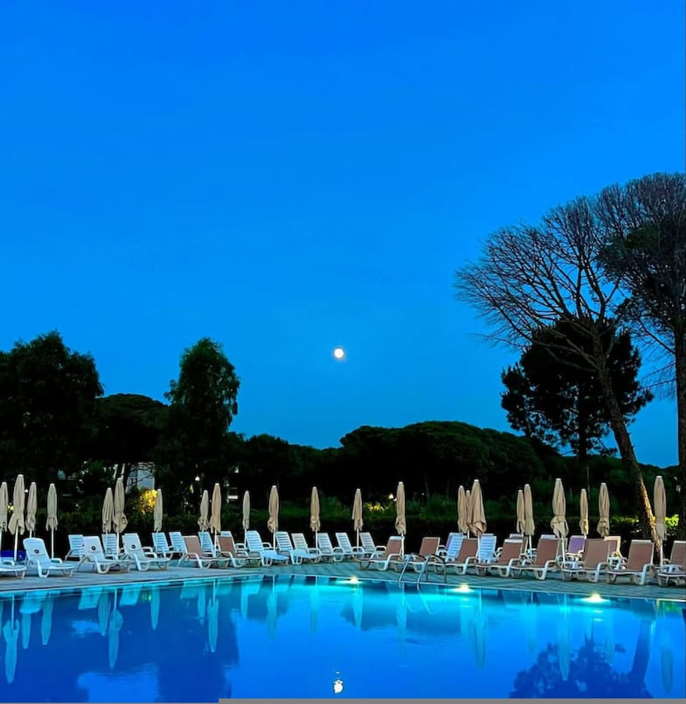 Stylish Studio With Spacious Balcony -trendafili photo 5