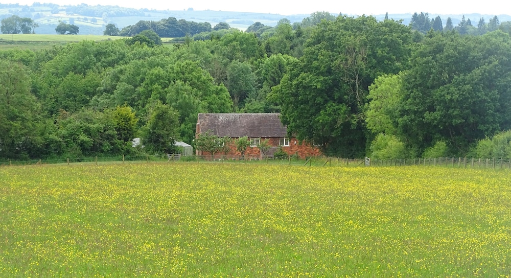 Meadowfields