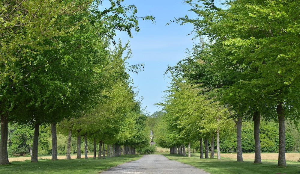 Château de la Motte Beaumanoir