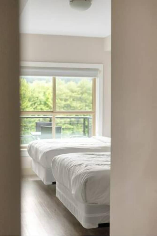 Harrison Lake Pets Welcome 3BR Suite