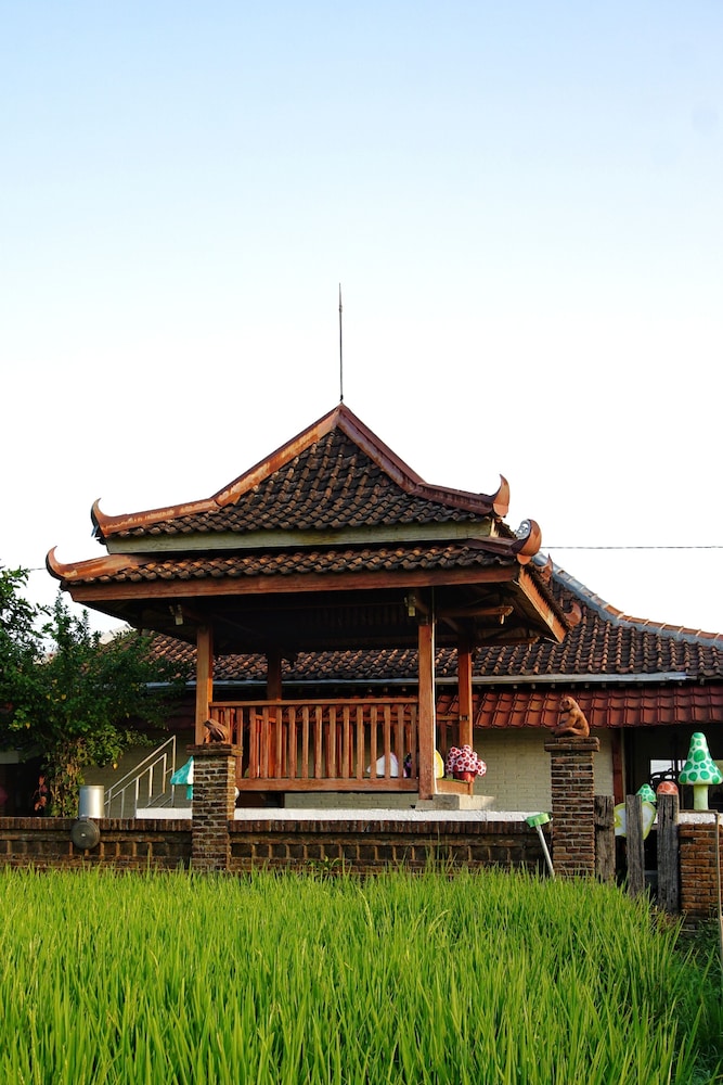 Photo 19