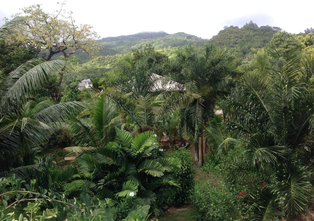 A Peace in Paradise