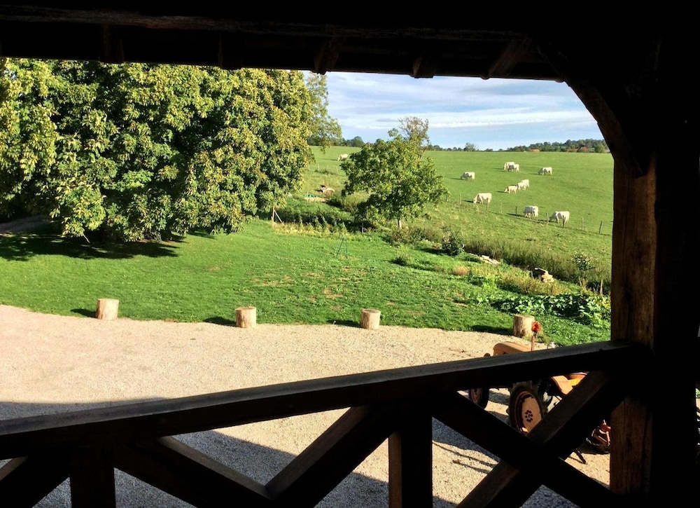 Domaine de Noyer photo 5