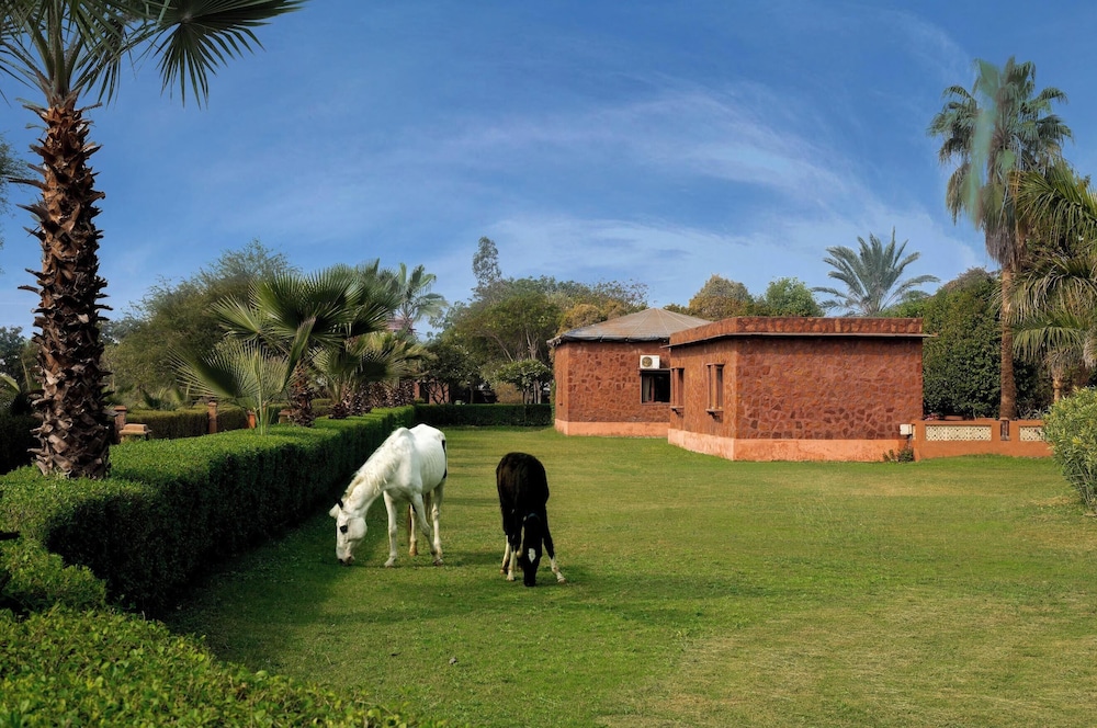 Royal Safari Lakeside Resort- Little Rann of Kutch