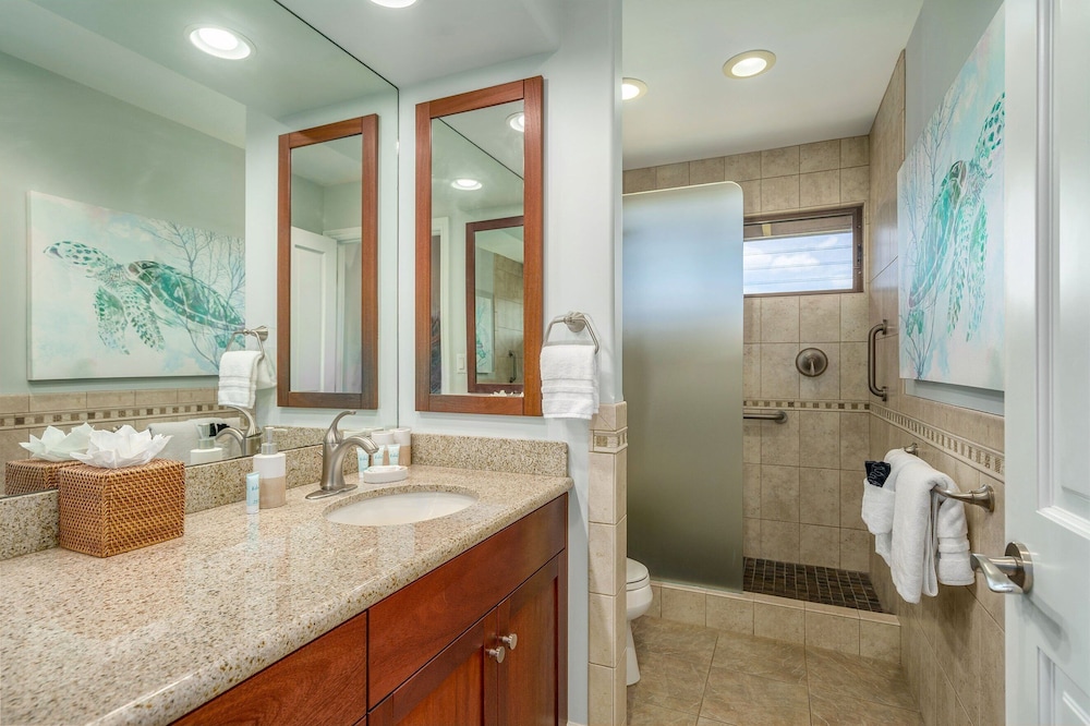 Discover Wailea Ekahi 39E - Breathtaking Ocean Views, Renovated, Wi-fi, Split AC