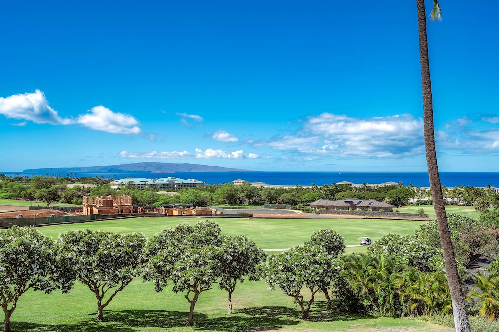 Wailea Ekolu 310 - Molokini to West Maui Ocean View, Modern Renovation, Split AC