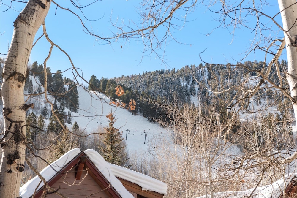 Downtown Aspen Studio Steps to Gondola & Trails - 305A