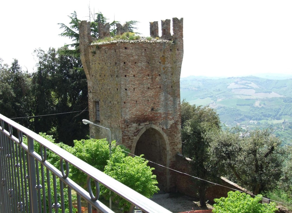 Photo 10
