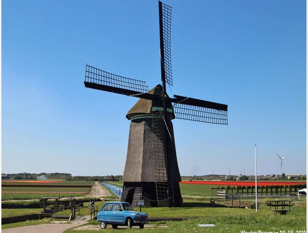Photo 30