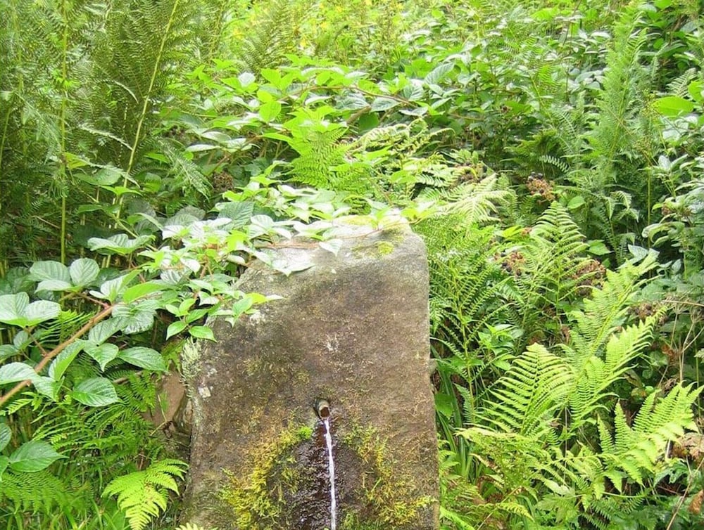 2 Fuchskreuzhof