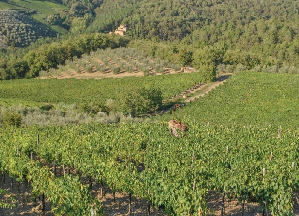 Apartment in Tuscany Near Chianti Vineyards view 5