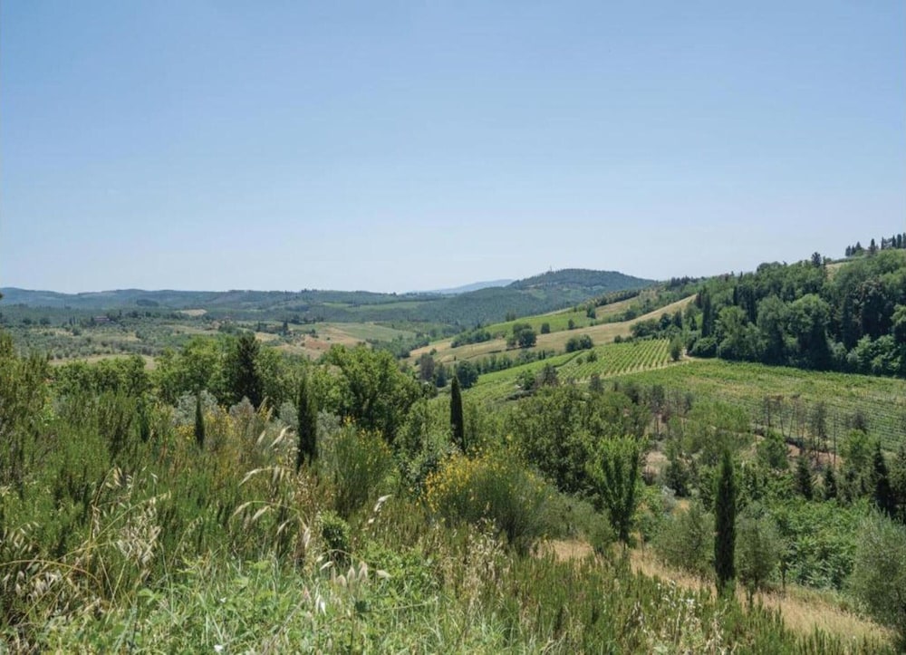 Apartment in Tuscany Near Chianti Vineyards view 2