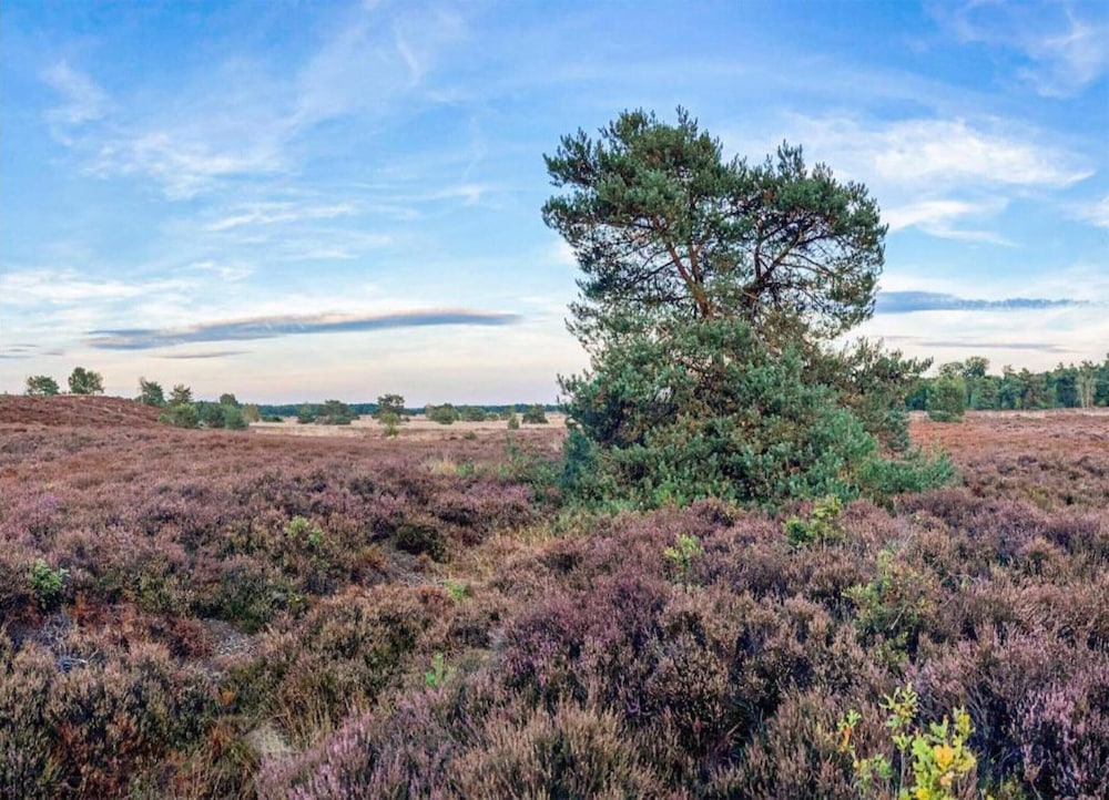 Bungalow in Veluwe With Infrared Sauna