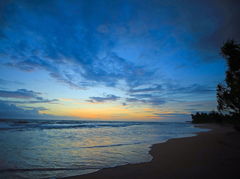 Saffron & Blue