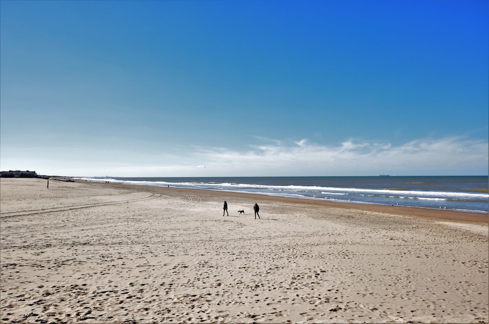 Luxurious Holiday Home with Hot Tub in Noordwijk view 3