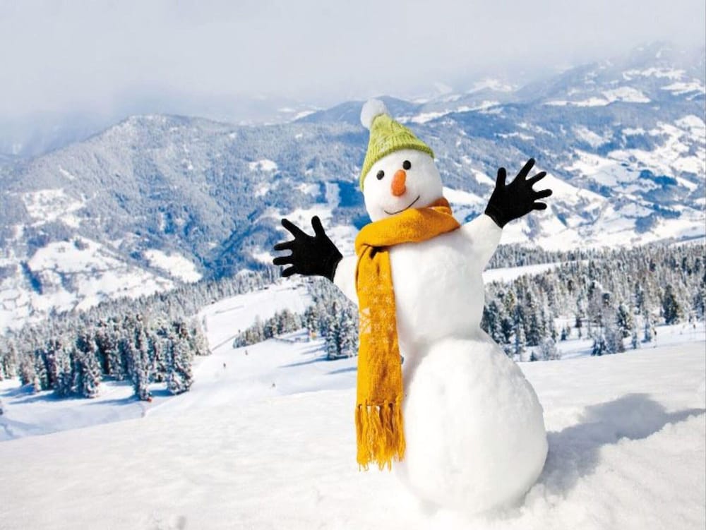 Modern Chalet in Sankt Georgen ob Murau With Sauna