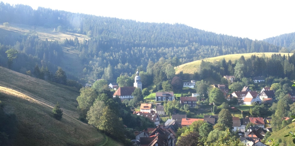 Charmantes Refugium, Harz