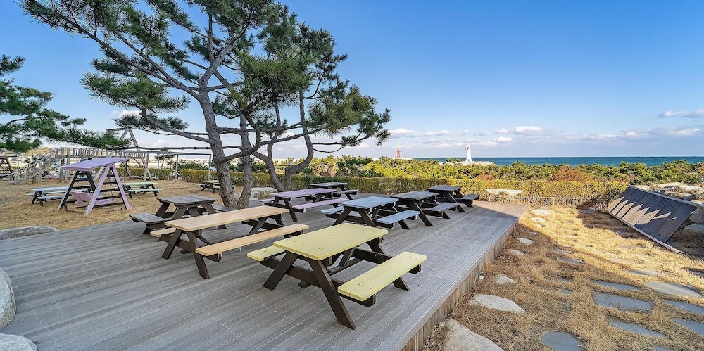 Photo 65