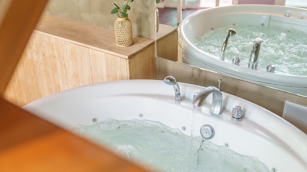 Gapyeong Nami Island Pet-friendly Spa Pe