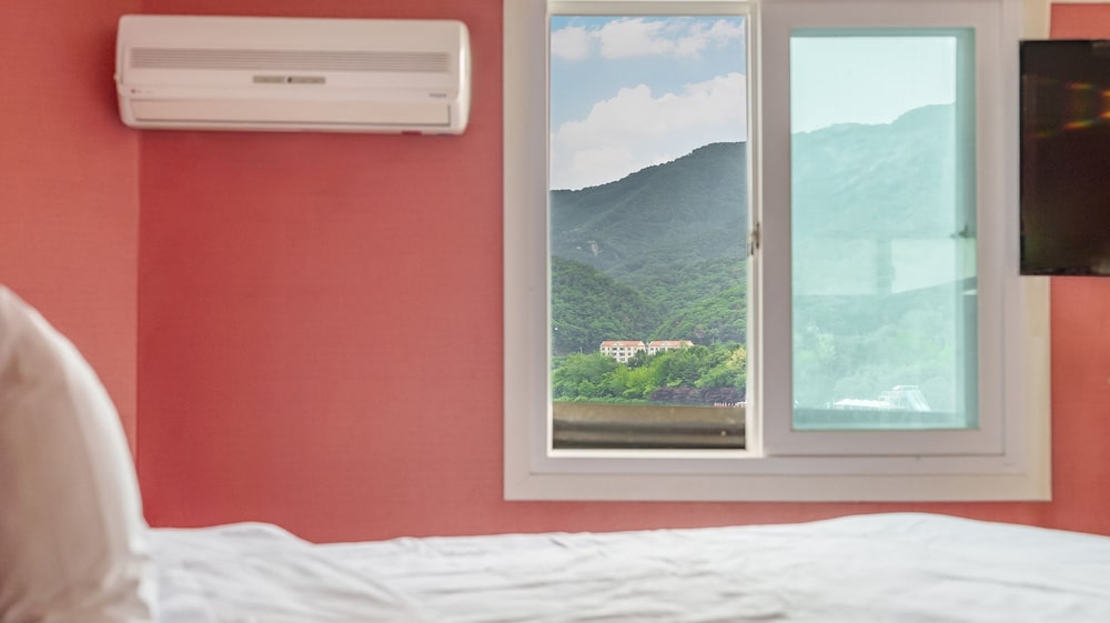 Gapyeong Nami Island Pet-friendly Spa Pe