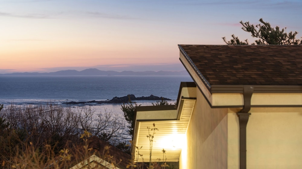 Ganghwa Raube Pet-friendly Pension
