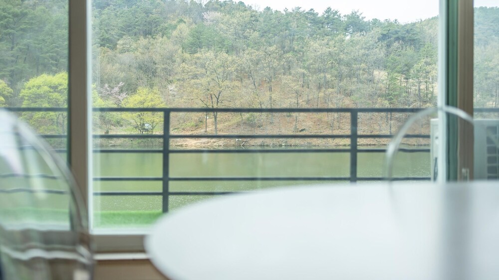 Cheongdo Ellago Poolvilla Pension view 4