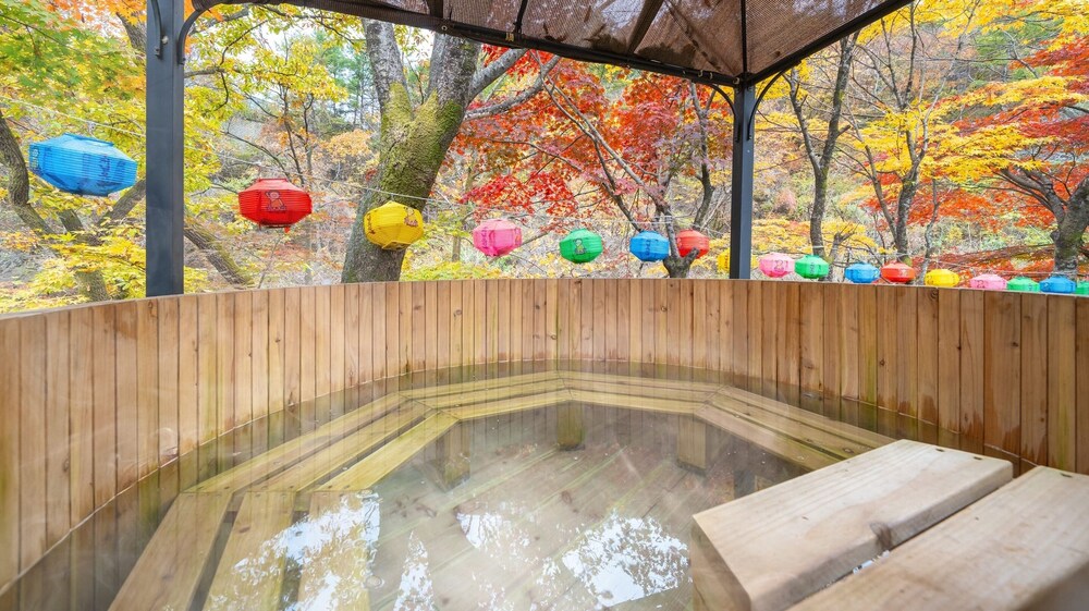Gapeyong Fourseason Pet Glamping Caravan