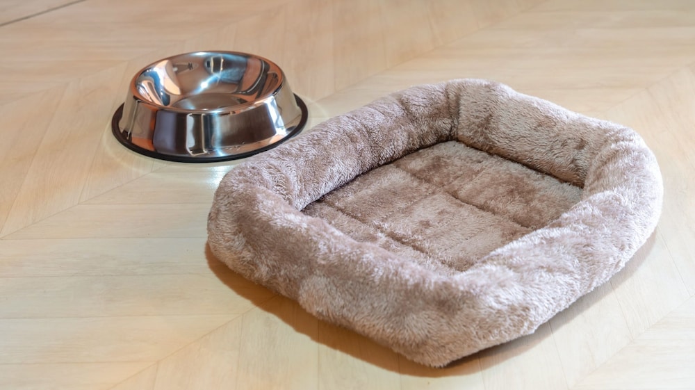 Gapeyong Fourseason Pet Glamping Caravan