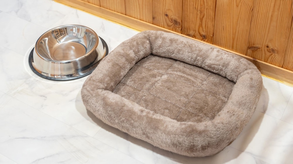 Gapeyong Fourseason Pet Glamping Caravan