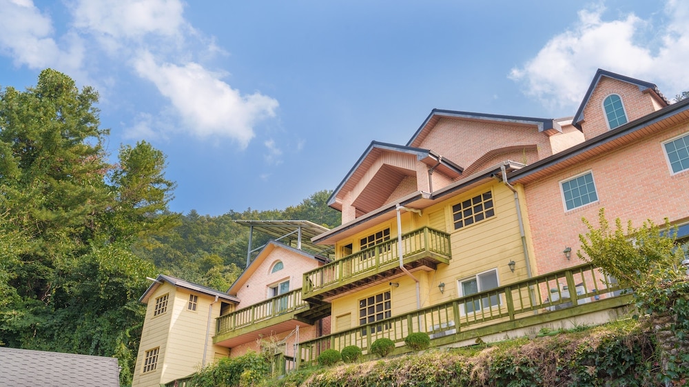 Yangpyeong Beulleosseom pet spa Pension