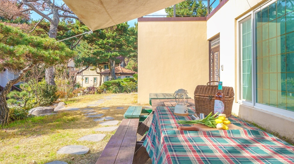 Gyeongju Clearmorning Petfriendlypension