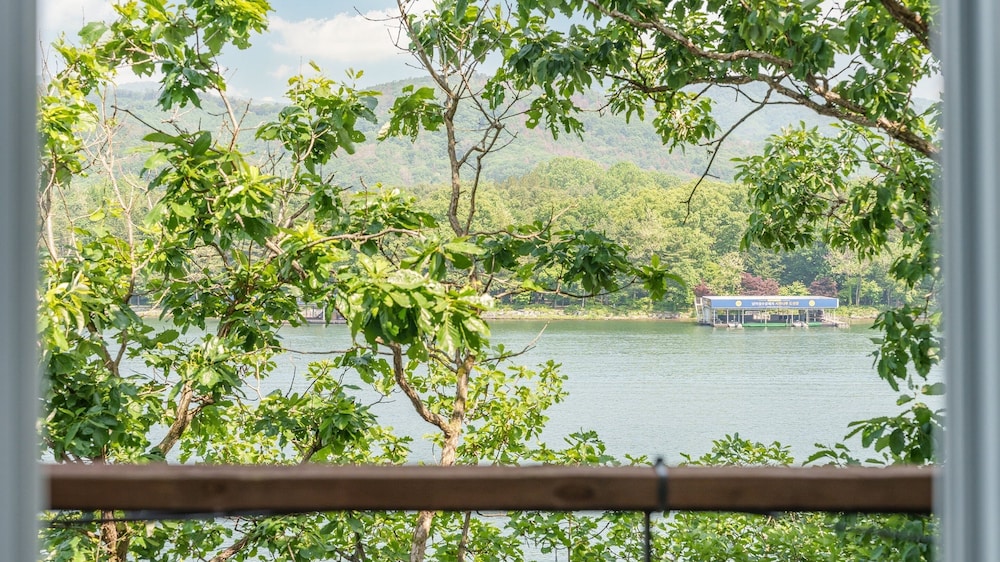 Gapyeong Nami Island Pet-friendly Spa Pe