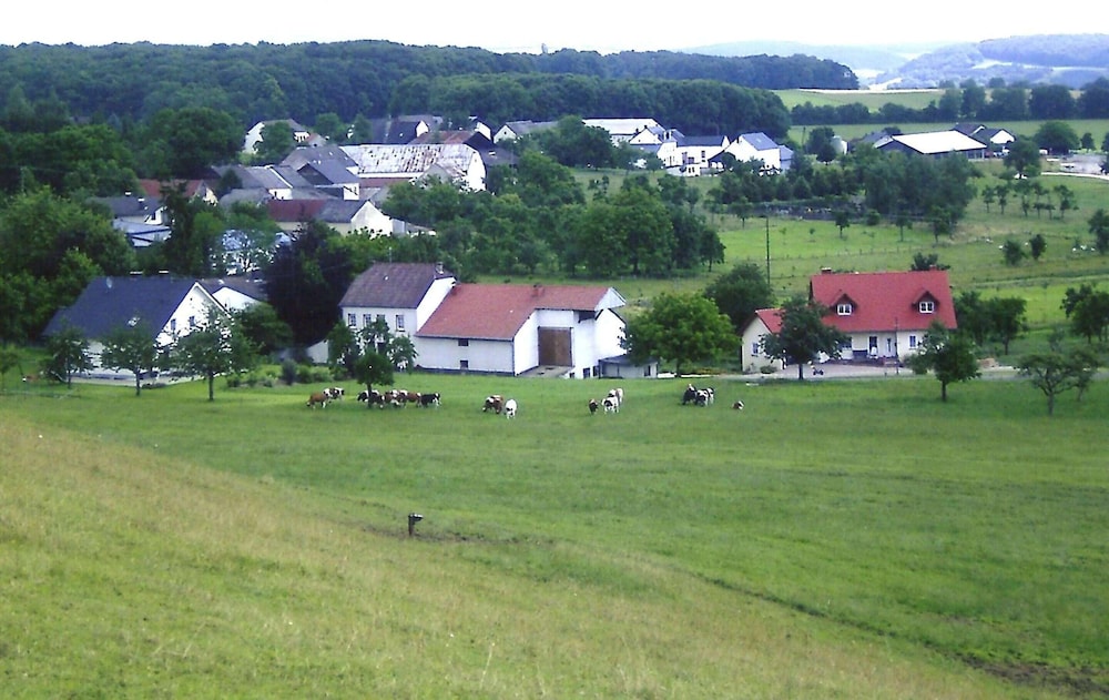 Olsdorf Forestview Apartment view 5