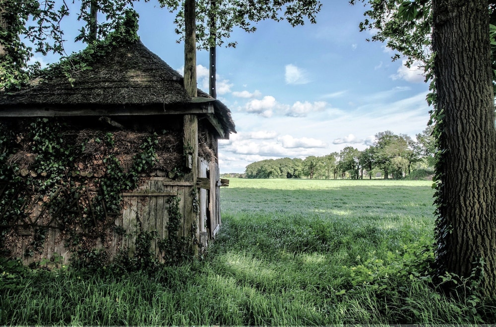 Pet-friendly Getaway, photo 17