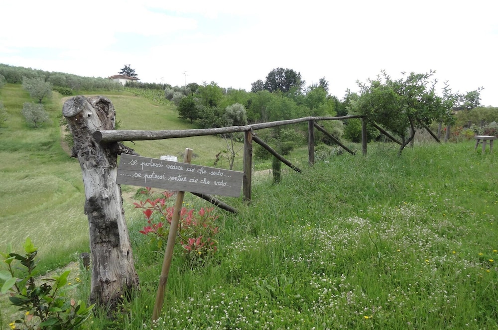 Villa in Vinci With Private Pool & Vineyard Views