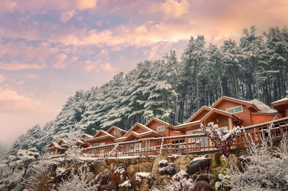 Gapyeong Areummaru Pension