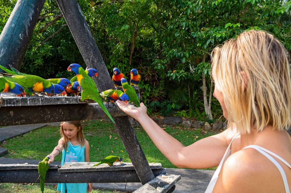 Discovery Parks - Airlie Beach