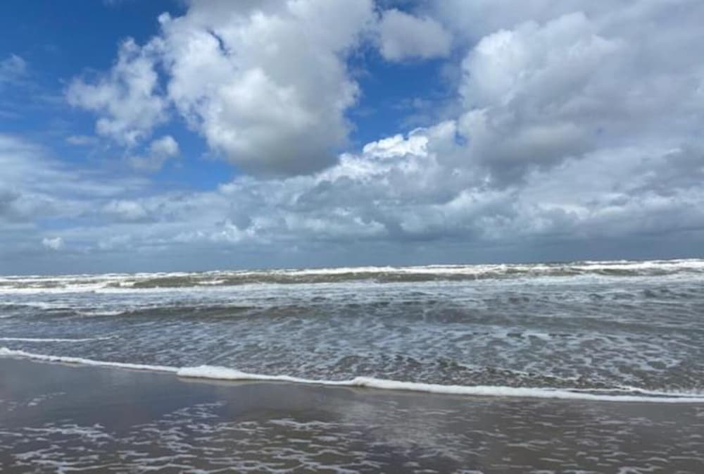 Apartment in Petten Near the Beach