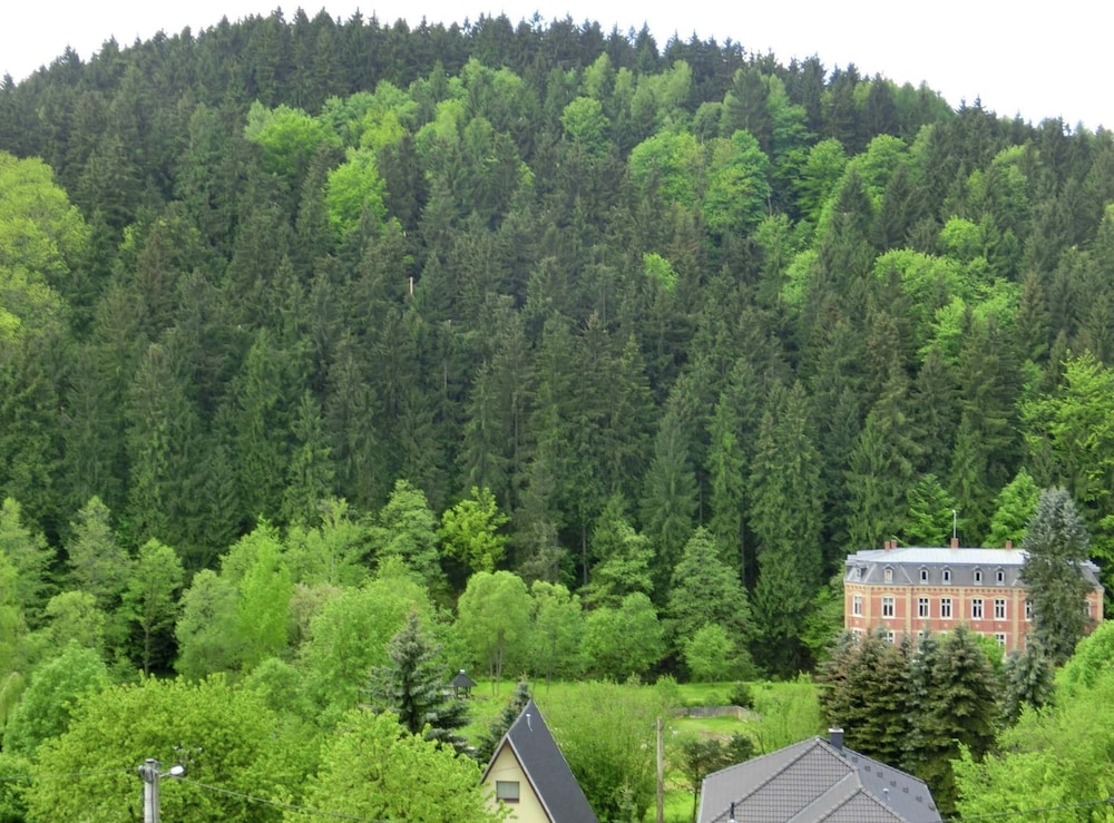 Alluring Villa in Grunhainichen-borstendorf With Garden