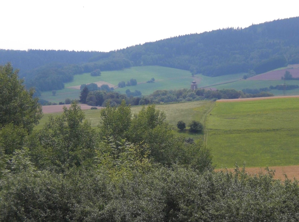 Photo 25