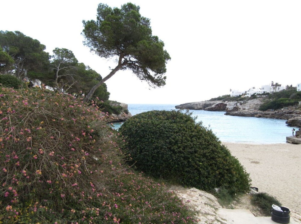 Residence Sirena D'or
