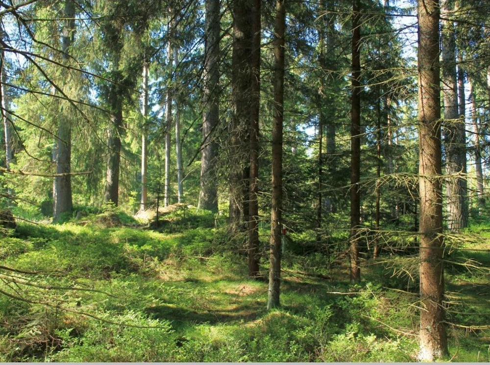 Tiny House in Kleinschoenau in the Waldviertel