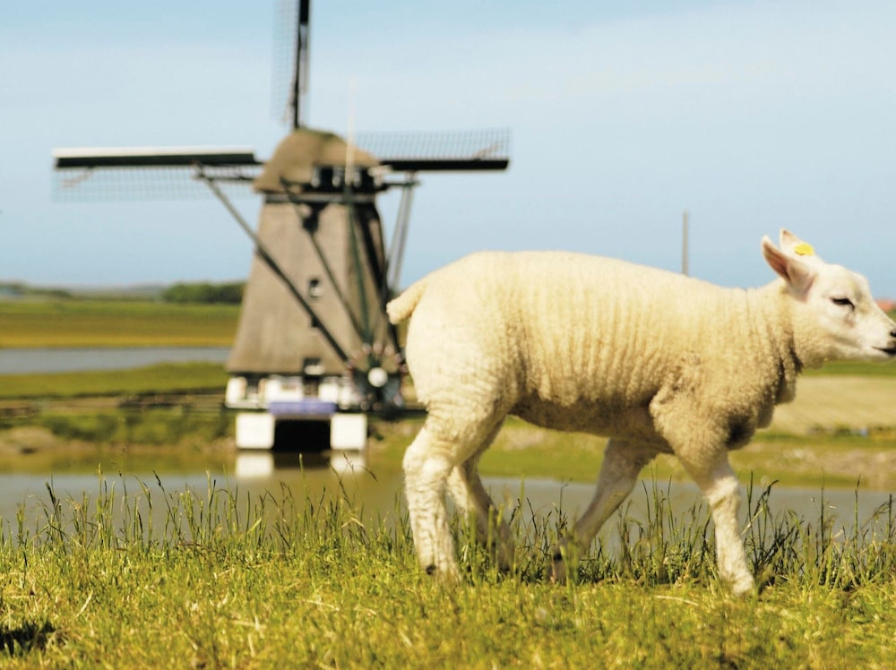 Cozy Coastal Retreat Texel