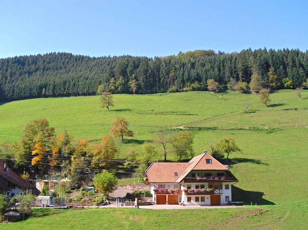 Comfy Apartment in Salmensbach near River view 4