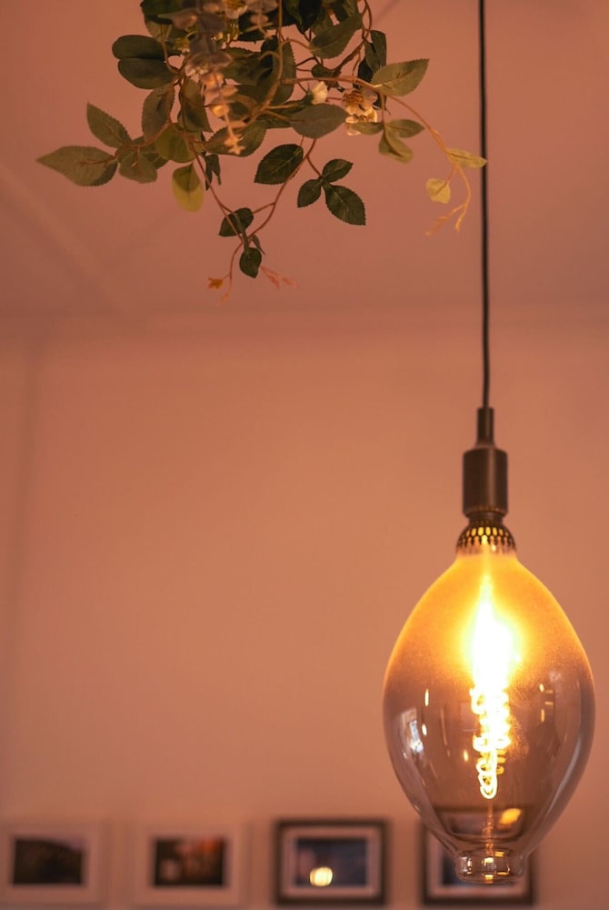 Stylish 2-bed Cottage in Trendy Erskineville
