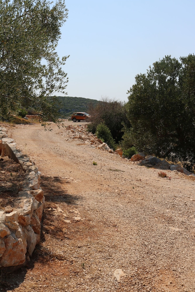 Photo 37