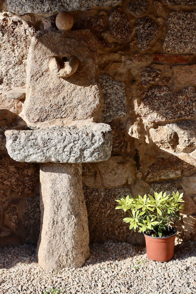 Comfortable Rural Cottage in Ancient Village in the Douro Region view 4