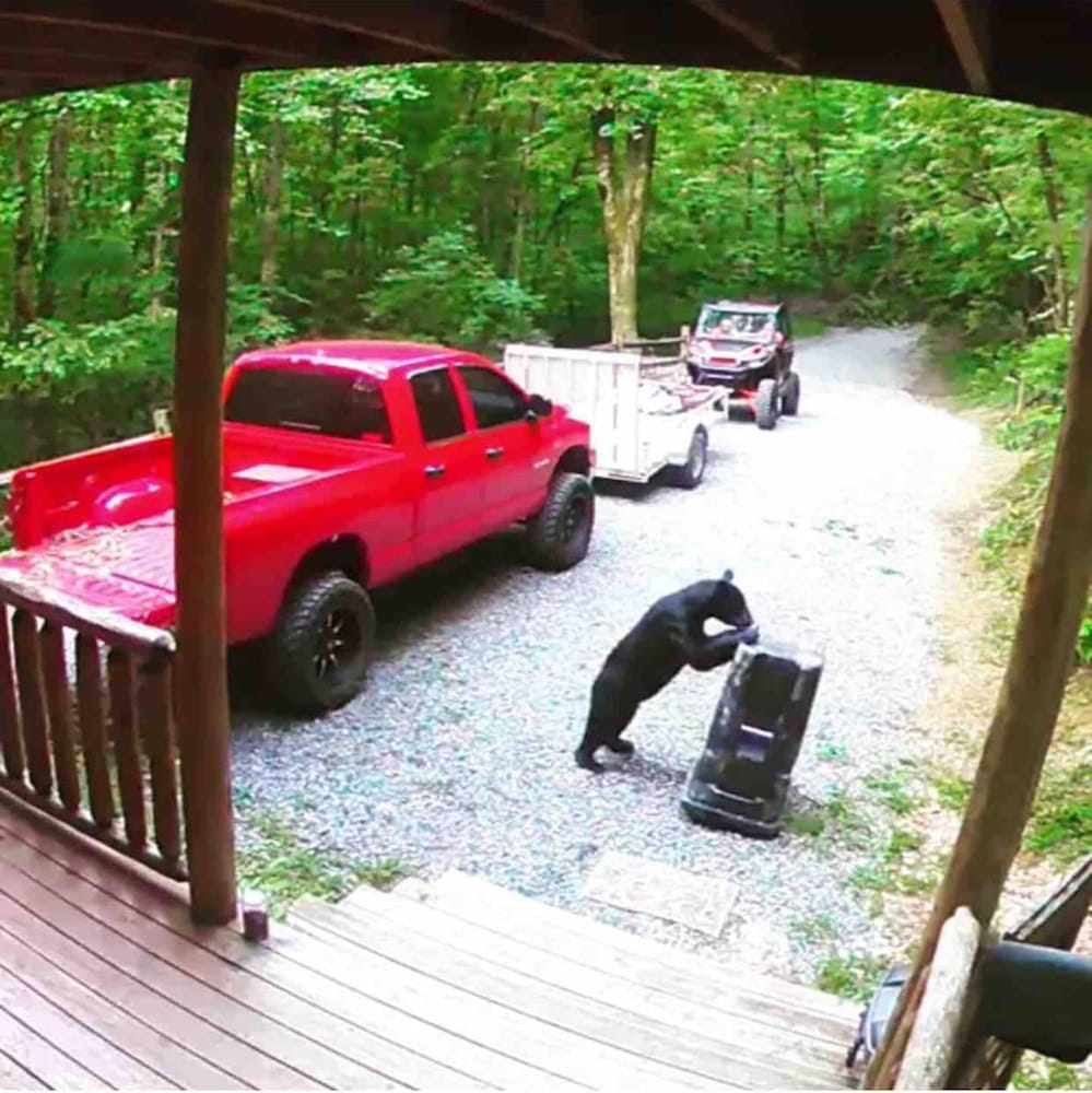 Beautiful Cabin w hot tub Sauna Pool Table