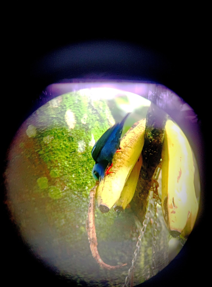 Photo 34